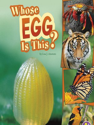 cover image of Whose Egg Is This?